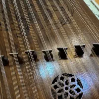 سنتور حرفه ای و کاملا سالم نو
