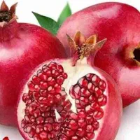 مرکز فروش نهال اینترنتی انار قندهار