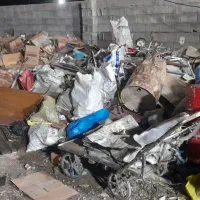 خرید کارتون و کتاب، و زایات