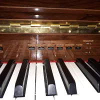 پیانو یاماها|پیانو، کیبورد، آکاردئون|اصفهان, مسجد مصلی|دیوار