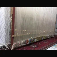 فرش نیمه کاره|فرش|میانه, |دیوار