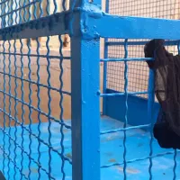 بودی سچرخه موتورسیکلت|موتورسیکلت|بندر ماهشهر, |دیوار