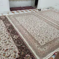 چهار عدد فرش ۶متری|فرش|سنندج, |دیوار