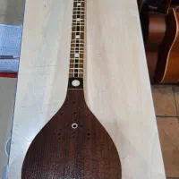 سه تار شیخ کاسه گردو