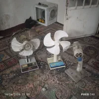 پنکه