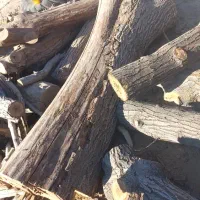 فروش چوب گردو رنگ قهوه ای|عمدهفروشی|مروست, |دیوار