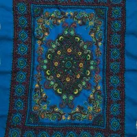 دو‌جفت پشتی پته