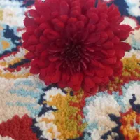 یک قطعه پلاک زمین باغی چهار دیواری با لوکیشن مناسب