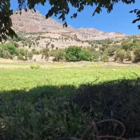 زمین-انجیرک