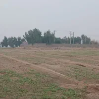 زمین-مسکونی-150-220-240شمال-شهر-چند-مورد