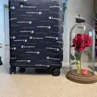 Cover luggage|کیف، کفش، کمربند|تهران, زرگنده|دیوار