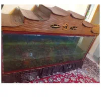 فروش آکواریوم ماهی