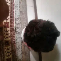 کلاه‌روسی|لباس|تهران, دکتر هوشیار|دیوار