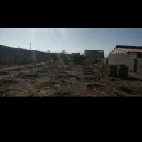 ۱۲۰۰ متر باغ کاهو اوائل خیابان سرهنگ|فروش خانه و ویلا|گلمکان, |دیوار