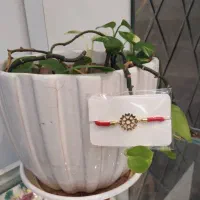 استخدام نیروی فست فود