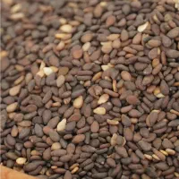 کنجد درجه یک محلی