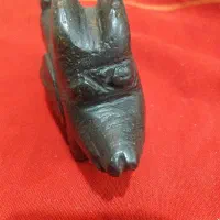سنگ کلکسیونی شبیه خوک