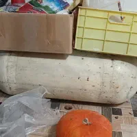 فروش گاز شرکتی|قطعات یدکی و لوازم جانبی|کوهدشت, |دیوار