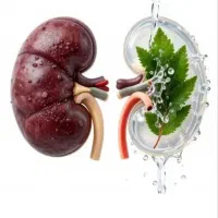 قندخونت بالاست سنگ کلیه اذیتت میکنه