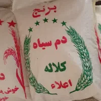 برنج دمسیاه