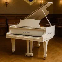 پیانو صدایی از جناس هنر و احساس(انواع مدلهای پیانو