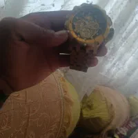 ساعت مچی اینویکتا|ساعت|شیراز, دارالرحمه|دیوار