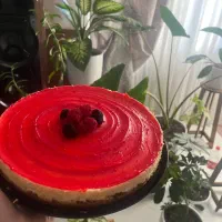 کیک تولد،کافی شاپی،چیز کیک،تیرامیسو|خوردنی و آشامیدنی|مشهد, رستگار|دیوار