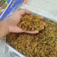 انواع کشمش سبز و آفتابی امسالی