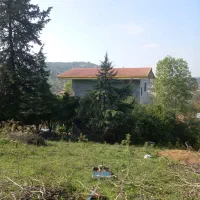 ۴۰۰ متر زمین مسکونی پلاک یک جنگل ویو ابدی|فروش زمین و ملک کلنگی|شیرگاه, |دیوار