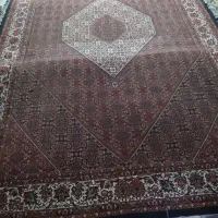 فرش دستباف|فرش|زنجان, |دیوار