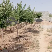 زمین-330متری