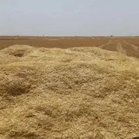 فروش کاه