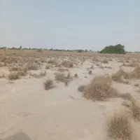 فروش زمین|فروش دفتر صنعتی، کشاورزی، تجاری|تخت, |دیوار