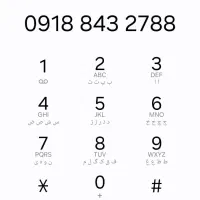 خط ثابت دائمی 843