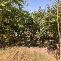 بر خدایارخان سوم/۵۰۰مترزمین/۱۱۰مترویلا|فروش خانه و ویلا|محمدشهر, محمدشهر|دیوار