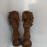 تنگ|ماهی|یزد, |دیوار