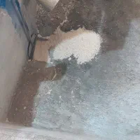 سبوس برنج)(فل