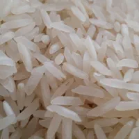 برنج طارم و فجر عمده با ارسال رایگان قرچک|خوردنی و آشامیدنی|قرچک, داوود آباد|دیوار