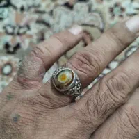 باباقوری خاص