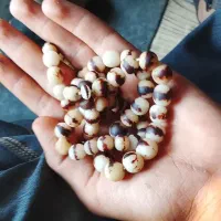 تسبیح هسته خرما|کلکسیون اشیاء عتیقه|جهرم, |دیوار