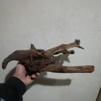 آکواریوم شیشه خم|ماهی|سراب, |دیوار