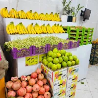 کار در میوه فروشی لوکس منطقه زارچ|استخدام خدمات فروشگاه و رستوران|زارچ, |دیوار