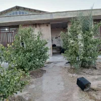 فروش  کارگاه تولیدی موزاییک وتیرچه و بلوک  و..|فروش دفتر صنعتی، کشاورزی، تجاری|سروستان, |دیوار