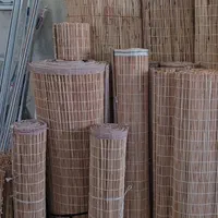 دنیای حصیر