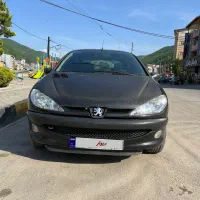 206 SD v8|خودرو سواری و وانت|زیرآب, |دیوار