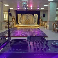 دیجی خانم  حرفه ای  و پرانرژی