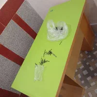 فروش«کلی وباهم»فوری وسایل میوه فروشی|فروشگاه و مغازه|اردبیل, |دیوار