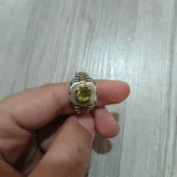 انگشتر های فاخر و کلکسیونی|جواهرات|ارومیه, |دیوار