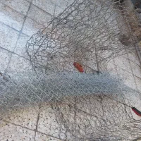 تیر آهن قوتینی شیربانیو فنس|مصالح و تجهیزات ساختمان|پلدختر, |دیوار