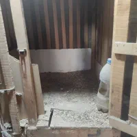 گنجه خروس|لوازم جانبی حیوانات|گنبد کاووس, |دیوار